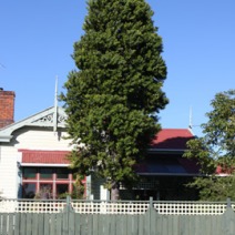 Zdj. nr 8;  Zdjęcie wykonane w Nowej Zelandii.