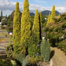 Zdj. nr 4;  Zdjęcie wykonane w Nowej Zelandii.