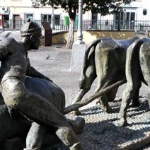Zdj. nr 136;  Rzeźba - Madera
