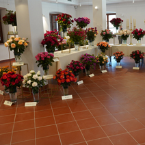 Zdj. nr 1;  Święto Róż w Końskowoli w odnowionym ratuszu w 2020 r.