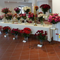 Zdj. nr 5;  Święto Róż w Końskowoli w odnowionym ratuszu w 2020 r.