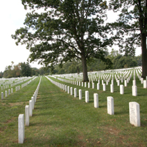 Zdj. nr 3;  Cmentarz wojskowy w Arlington - USA
