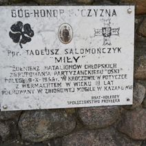 Zdj. nr 50;  Pomnik Tadeusza Salamończyka w Przyłęku