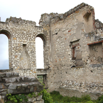 Zdj. nr 11;  Ruiny zamku w Janowcu